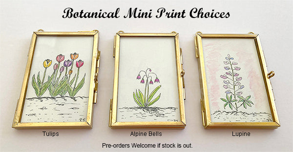 Framed mini botanical prints in brass or rose frames with clasp closure. Hand drawn and illustrated by Alaskan artist, Pamela Sue. Frame size: 2 x 3". Frame size and flower/plant choices offerings may vary. Available from PamelaSueArtandDesigns.com - Alaska.