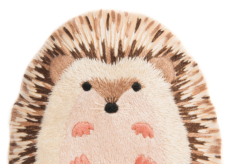 Hedgehog embroidery kit